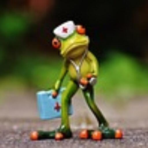 frog 1672942 150 1672942